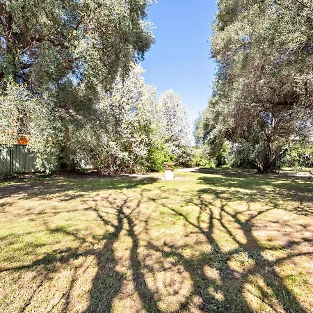 Charming Period Home - Walk To Cbd, Pet Friendly Dubbo Exterior photo